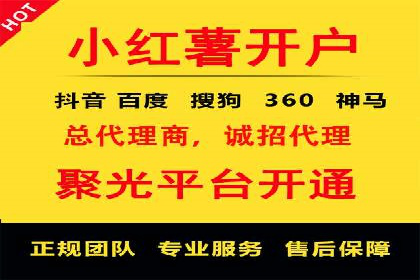 网络推广中的竞价广告：成功案例解析